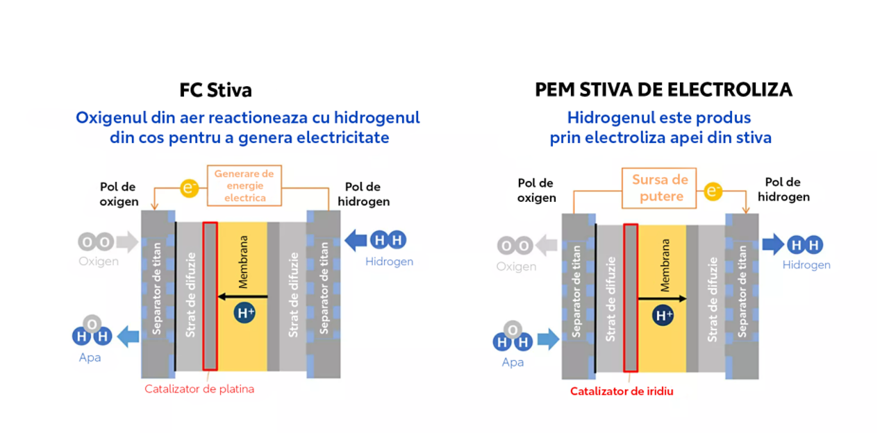 SCHEMA STIVA